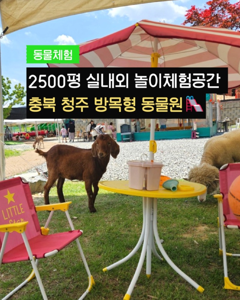 제목을_입력하세요_1 (2).jpg