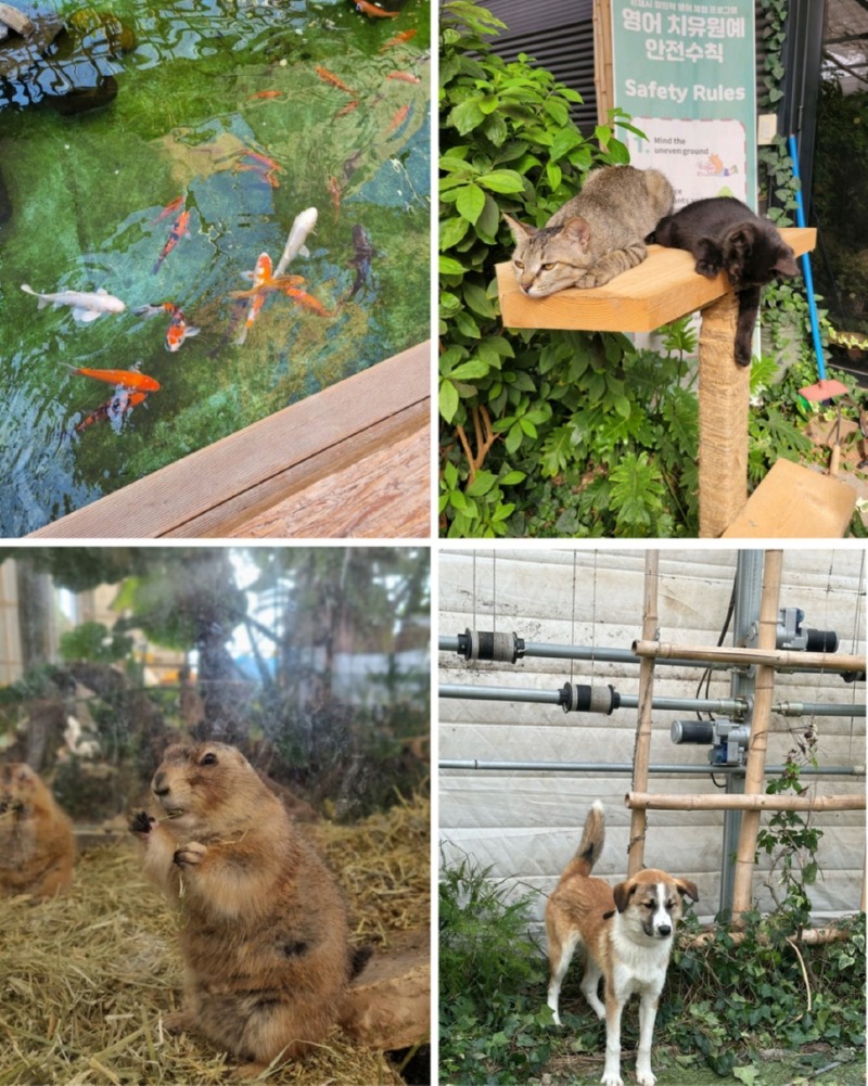 제목을_입력하세요_6 (9).jpg