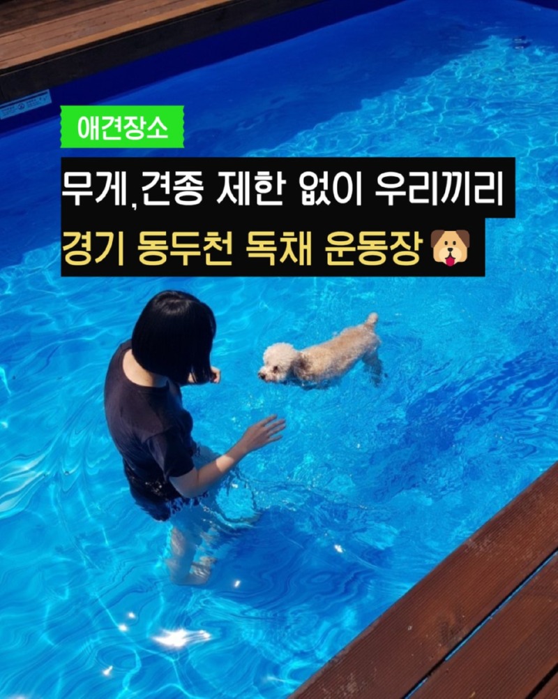 제목을_입력하세요_1 (12).jpg