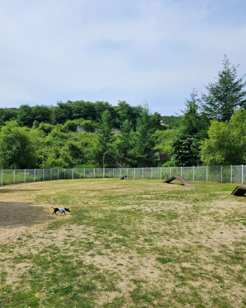제목을_입력하세요_7 (11).jpg