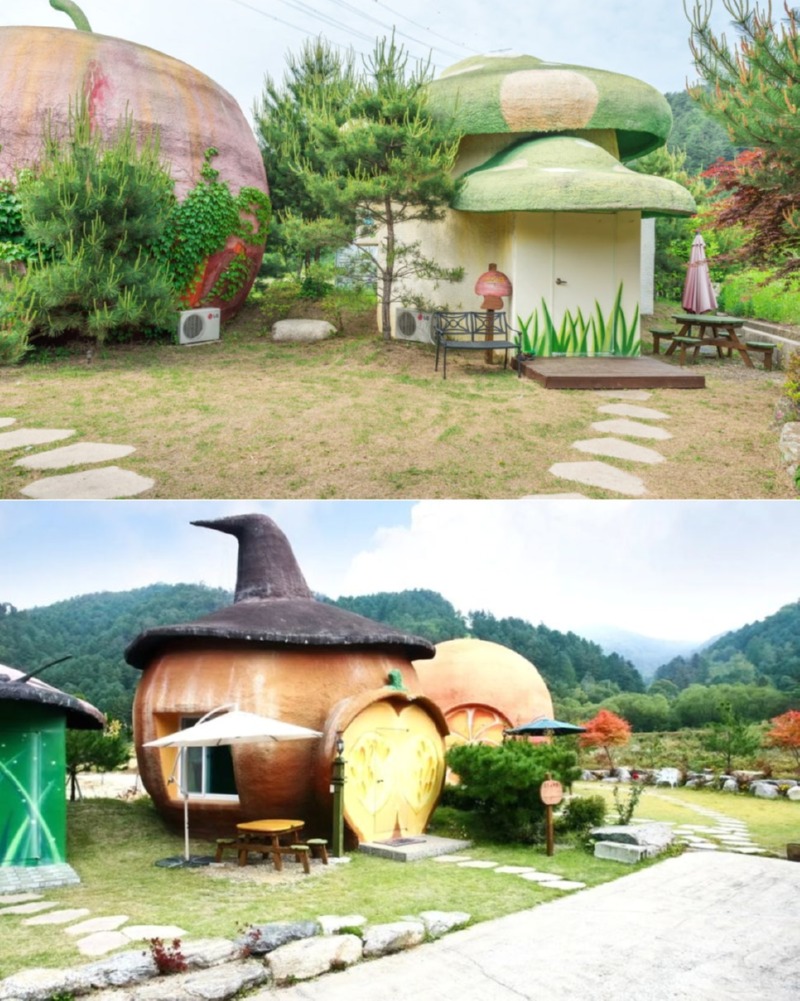 제목을_입력하세요_8 (14).jpg