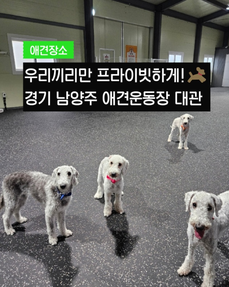 제목을_입력하세요_1 (19).jpg