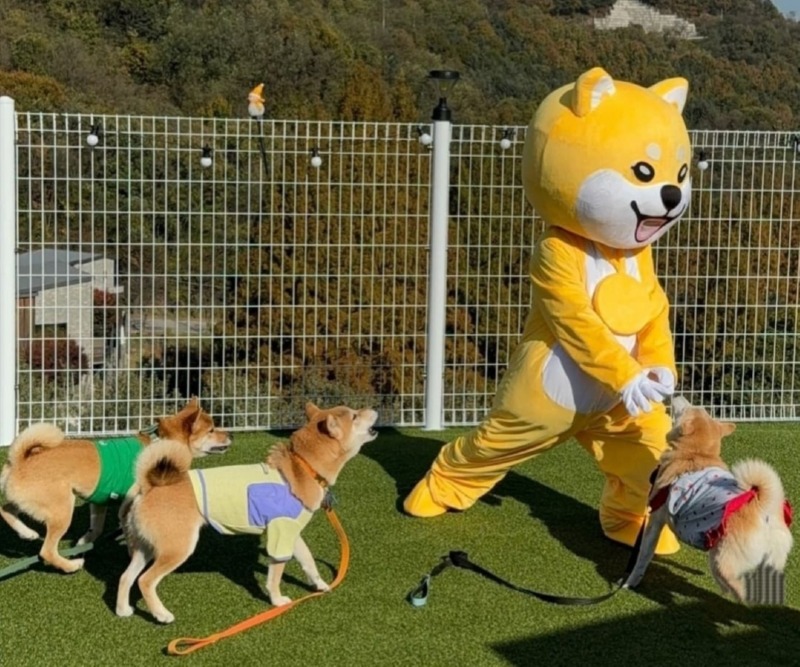 1000045702.jpg