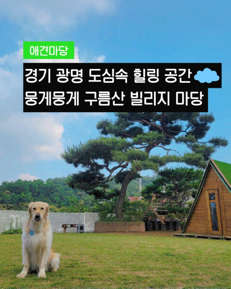 제목을_입력하세요_1 (22).jpg