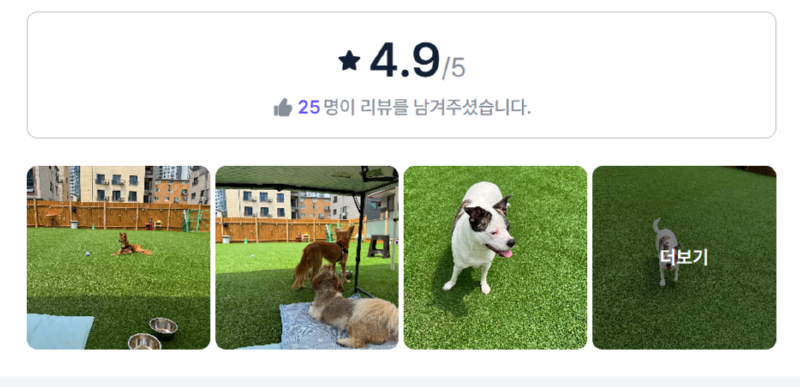 리오네마당.png