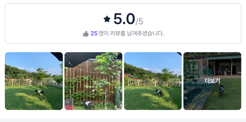 시루네마당.png
