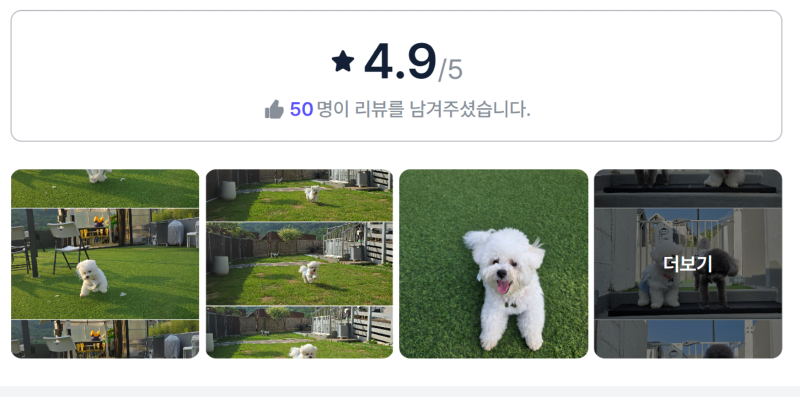 안슈하우스.png