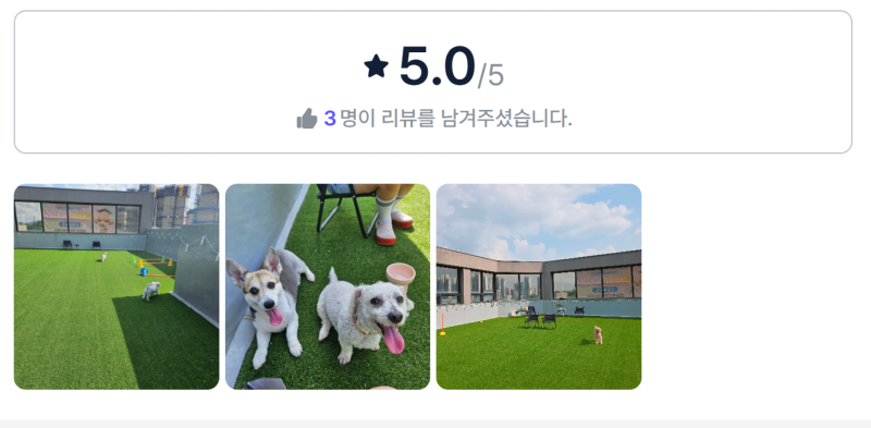 냠냠멍멍뛰뛰장.png