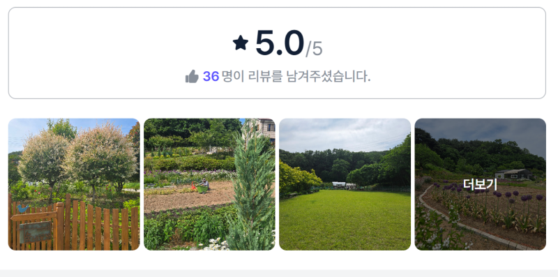 이안이네숲새.png