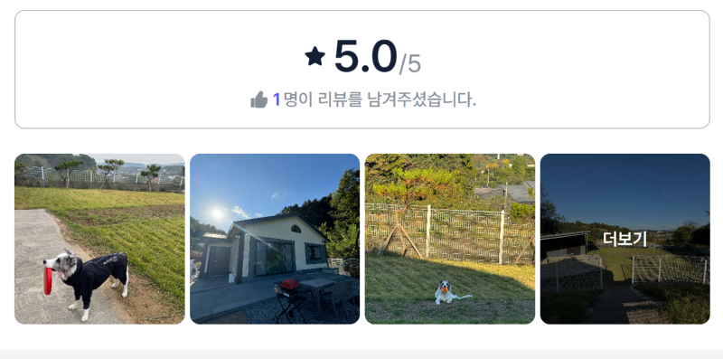 댕댕쉼 올나잇.png