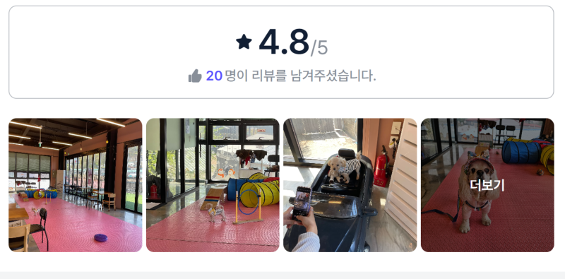 사계절행복하개다방.png