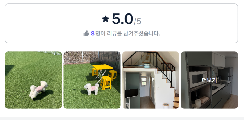 도그피크닉.png