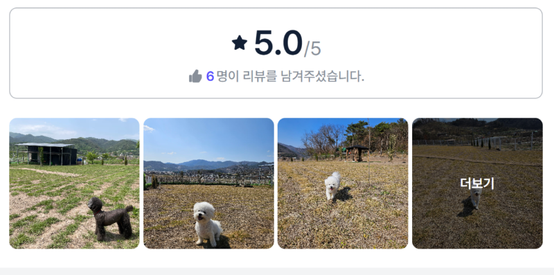 댕투게더.png