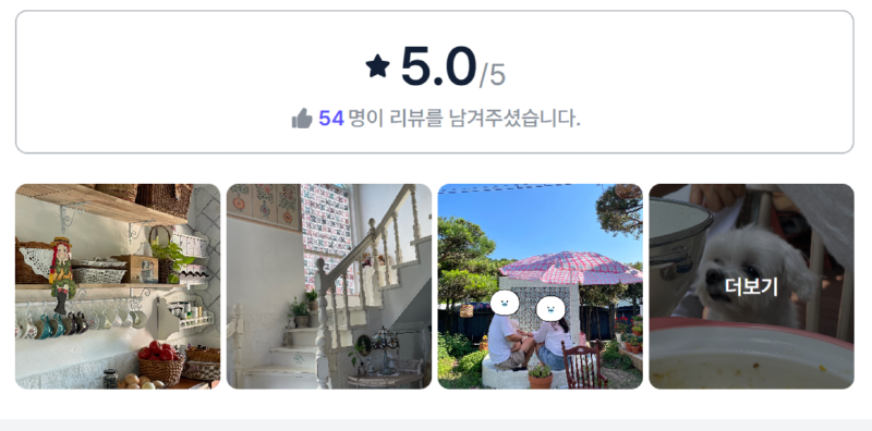 수목원댕댕이.png
