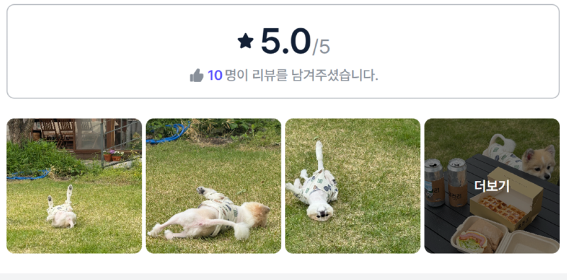 블로엔.png
