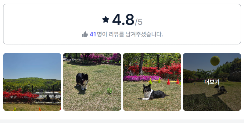 산멍때려.png