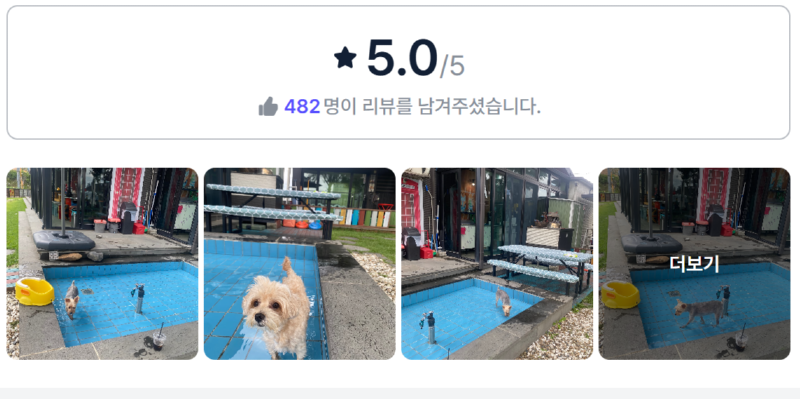 운정신도시댕댕이천국.png