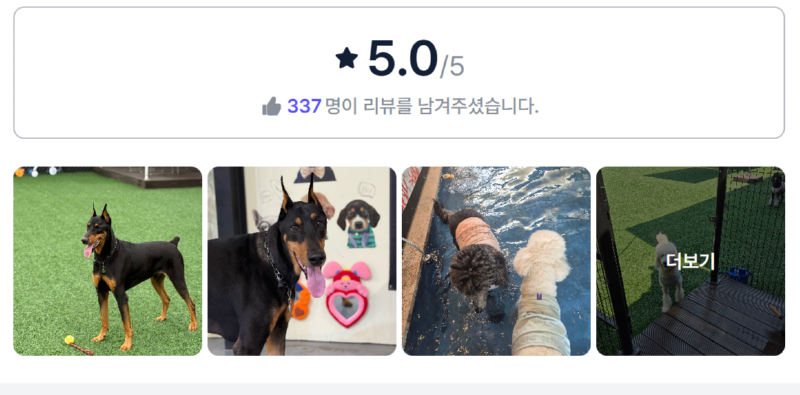 힐링몽.png