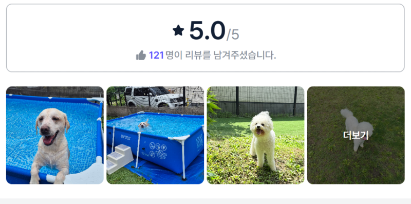 체리마당.png