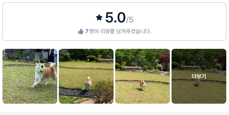 솔향채.png