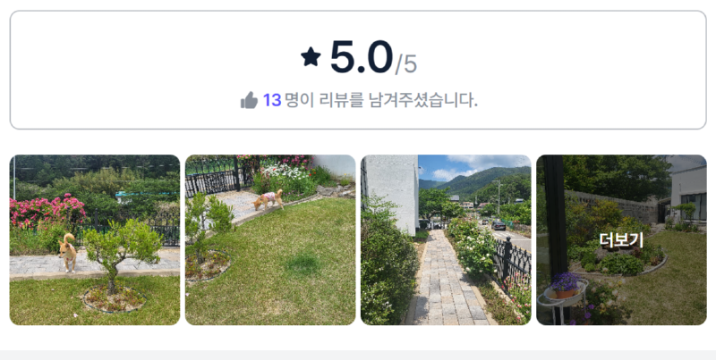 금잔디.png