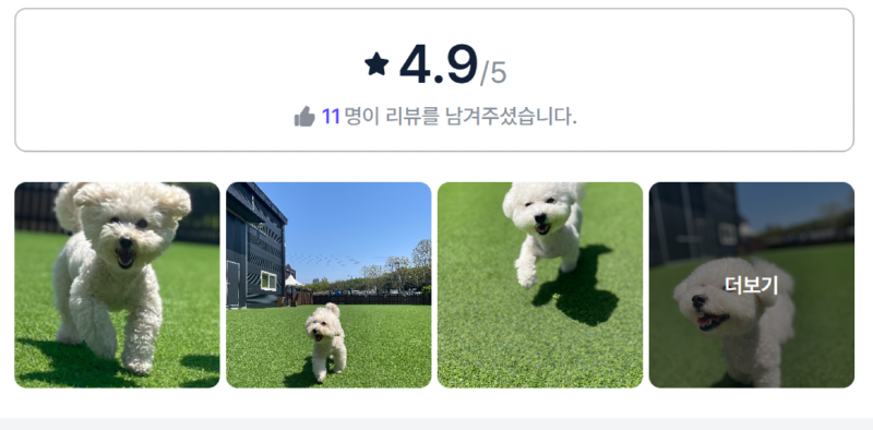 위드온강아지놀이터.png