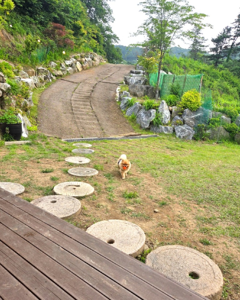 제목을_입력하세요_5 (21).jpg