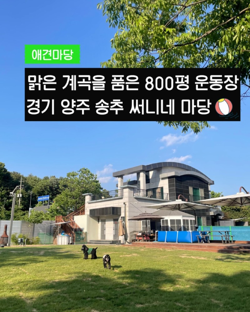 제목을_입력하세요_1 (25).jpg