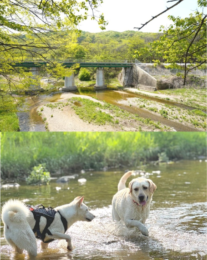 제목을_입력하세요_2 (24).jpg