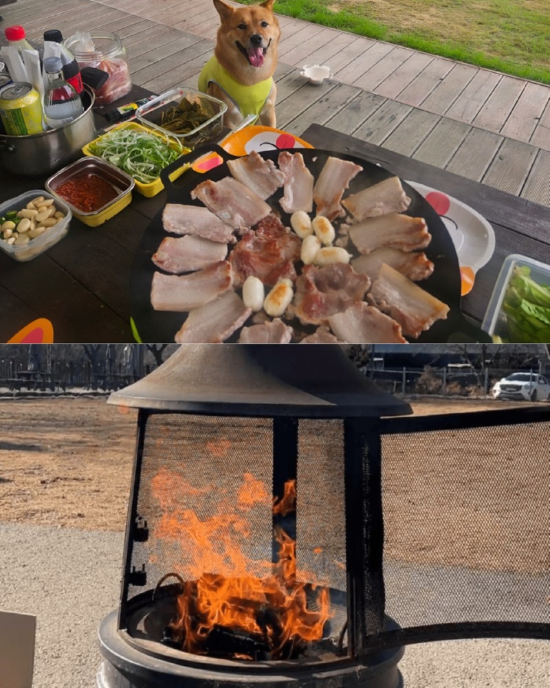 제목을_입력하세요_10 (10).jpg