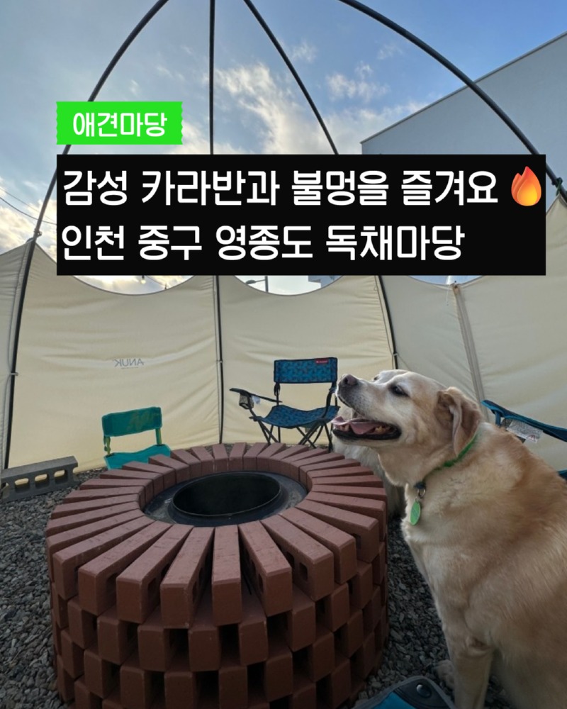 제목을 입력하세요 - 2025-08-08T003400.774.jpg