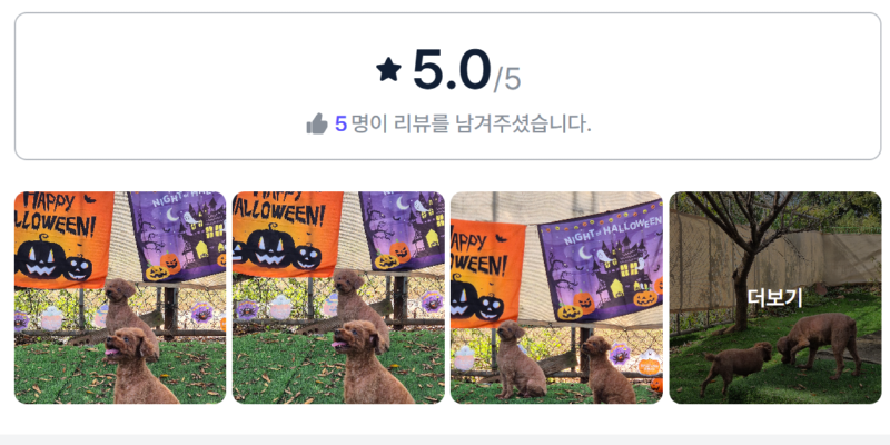 필멍마당.png