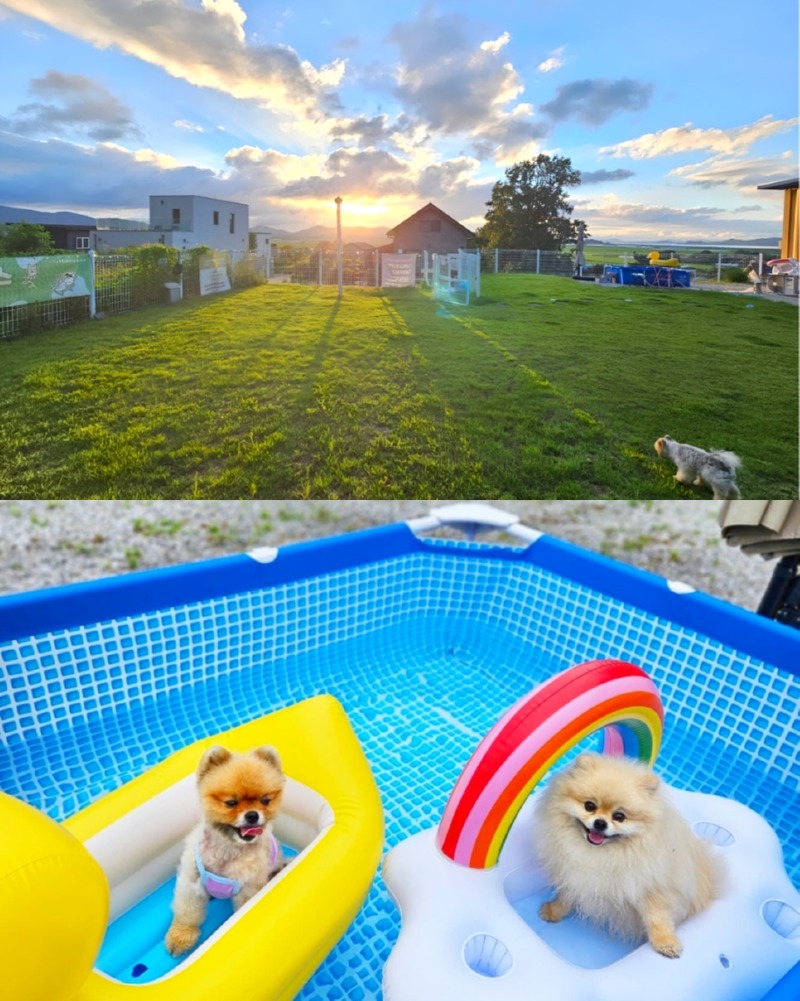 제목을_입력하세요_4 (22).jpg