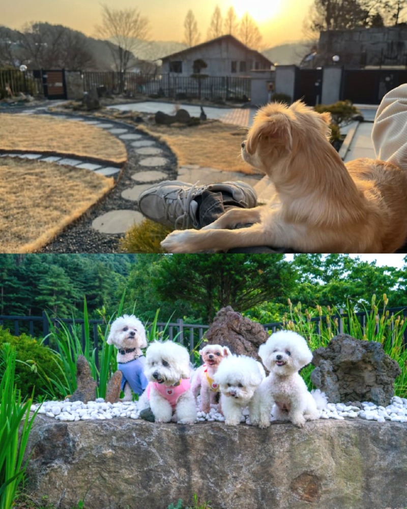 제목을_입력하세요_6 (22).jpg