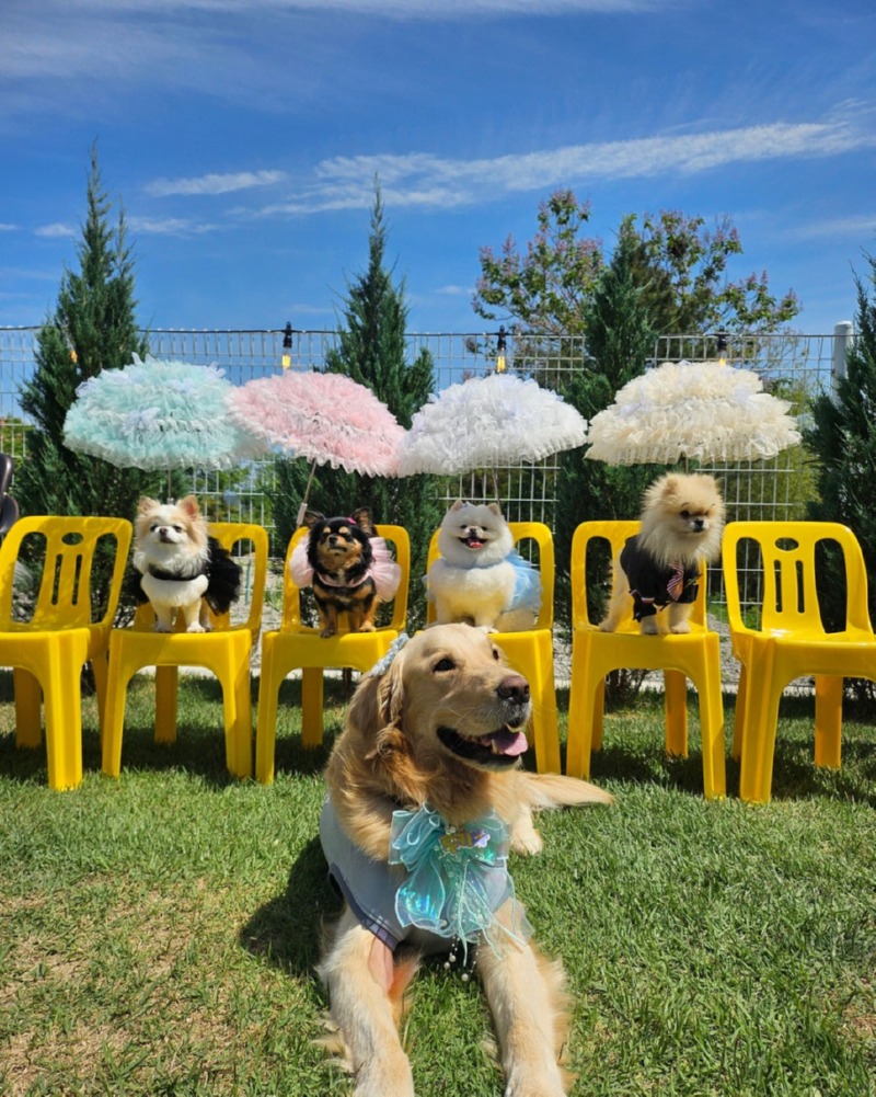 제목을_입력하세요_3 (21).jpg