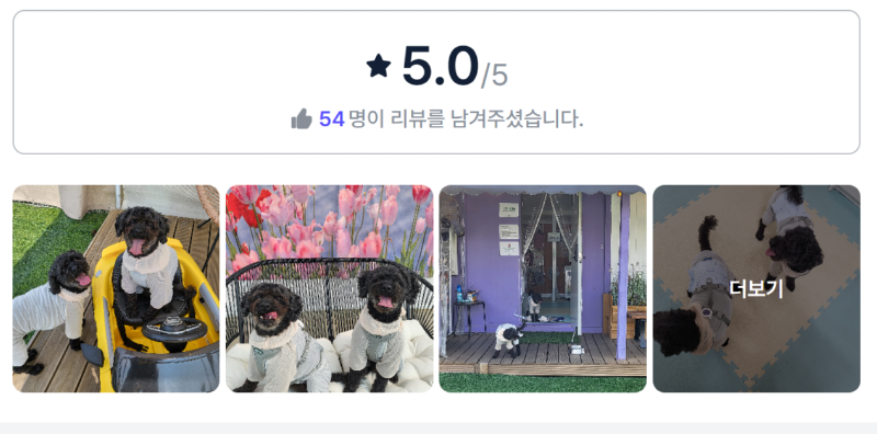 펫로망스마당.png
