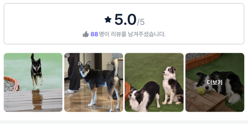 개놀자.png
