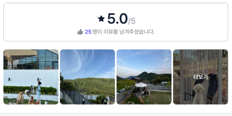 망고의하루.png