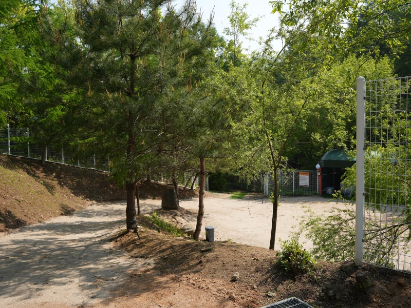 57.jpg