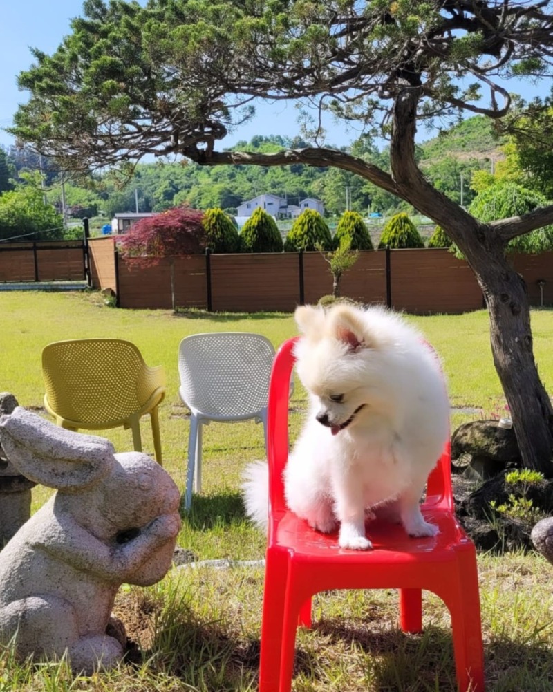 제목을_입력하세요_4 (23).jpg