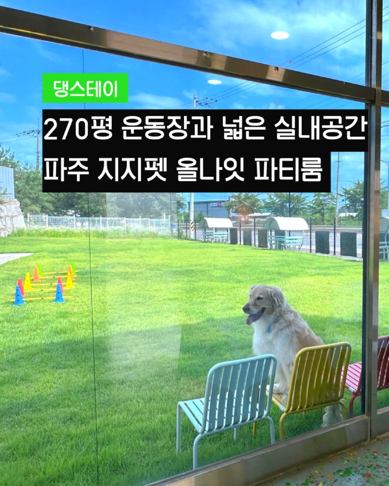 제목을 입력하세요 - 2025-09-02T212156.038.jpg