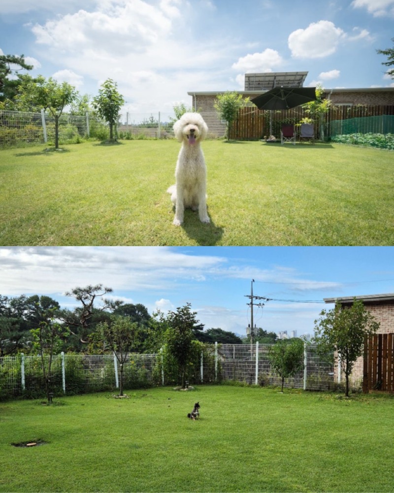 제목을_입력하세요_4 (28).jpg