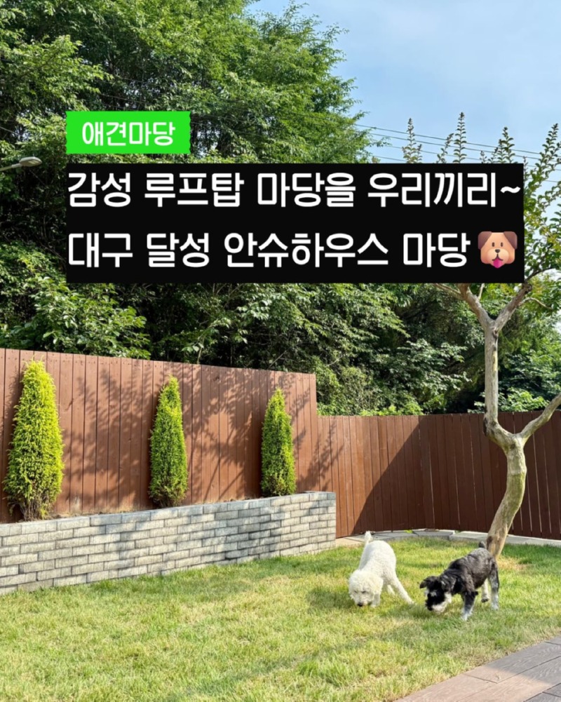 제목을_입력하세요_1 (31).jpg