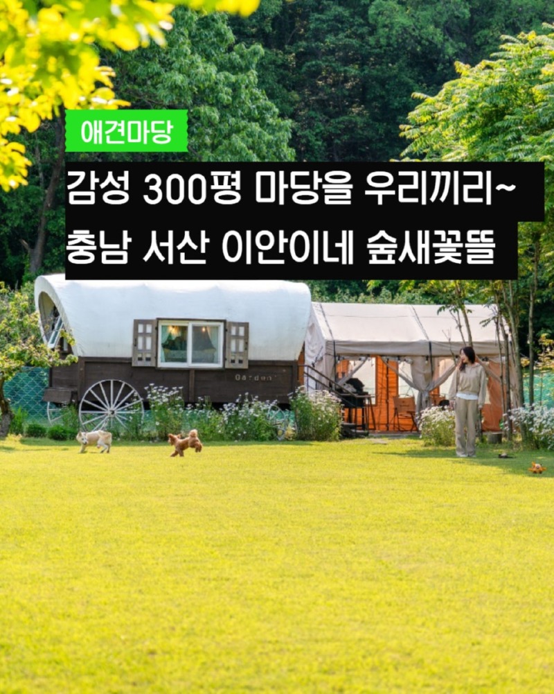 제목을_입력하세요_1 (22).jpg