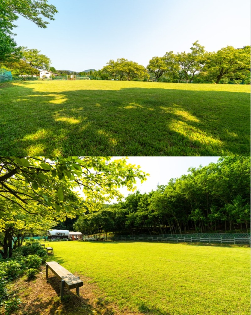 제목을_입력하세요_2 (21).jpg