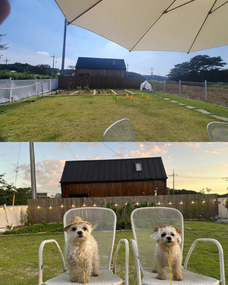 제목을_입력하세요_5 (22).jpg