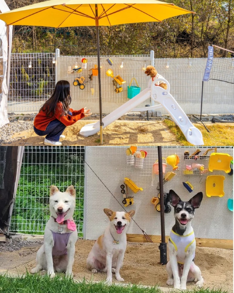 제목을_입력하세요_6 (23).jpg
