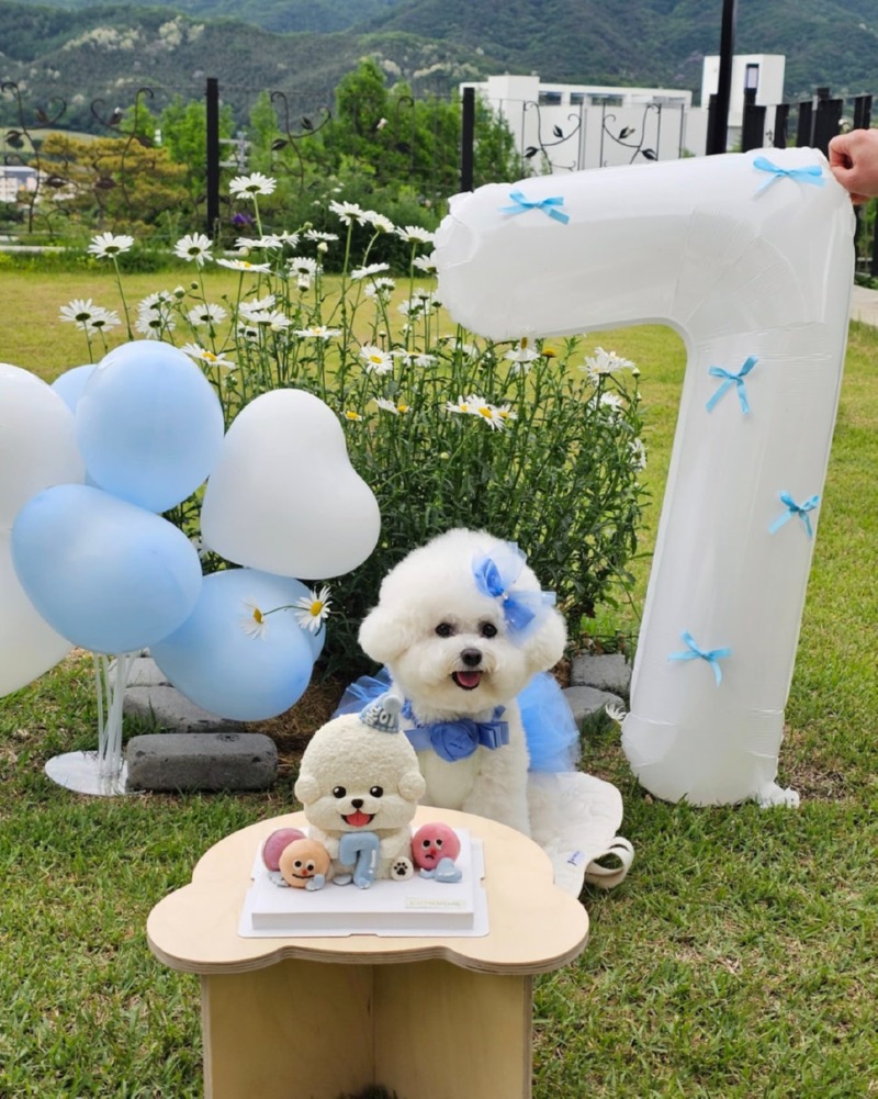 제목을_입력하세요_7 (20).jpg