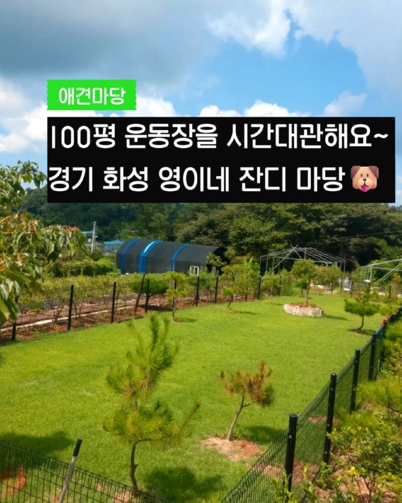 제목을_입력하세요_1 (24).jpg