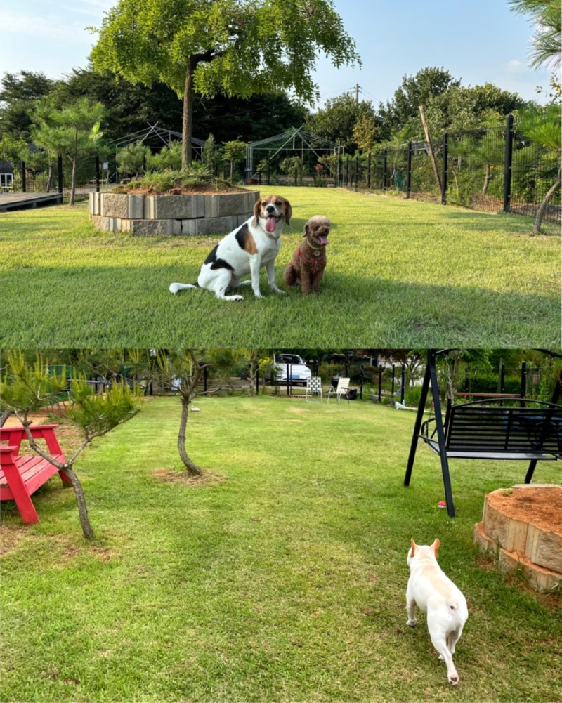 제목을_입력하세요_6 (26).jpg